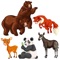 The app will teach you the names of wild animals in English language