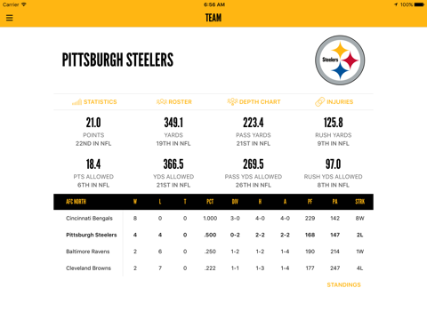 Pittsburgh Steelers screenshot 4