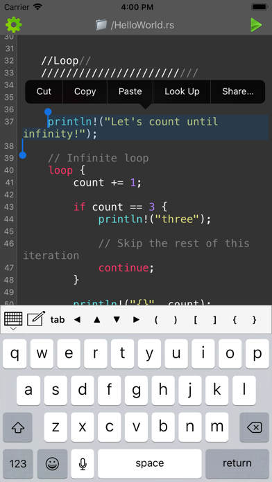 Rust Programming Compiler screenshot 3