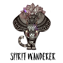Spirit Wanderer