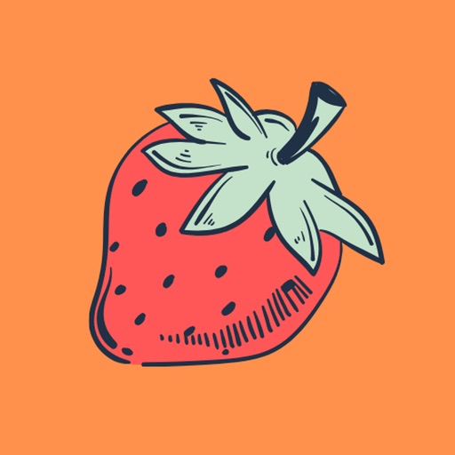 FruitMatch icon