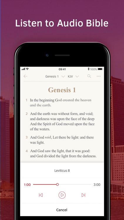 Light Bible: Verses, Audio screenshot-3