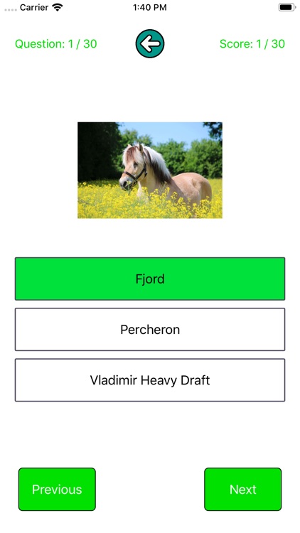 Learn horse breeds