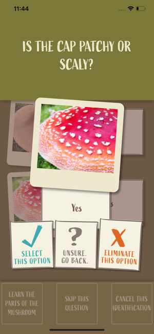 Snout: Mushroom Identification(圖6)-速報App