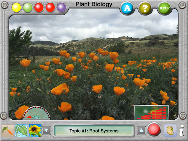 Plant Biology Explorer