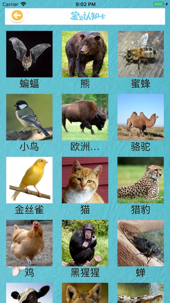 三字经国学经典 百家姓 千字文儿童启蒙入门课app For Iphone Free Download 三字经国学经典 百家姓 千字文儿童启蒙入门课for Ipad