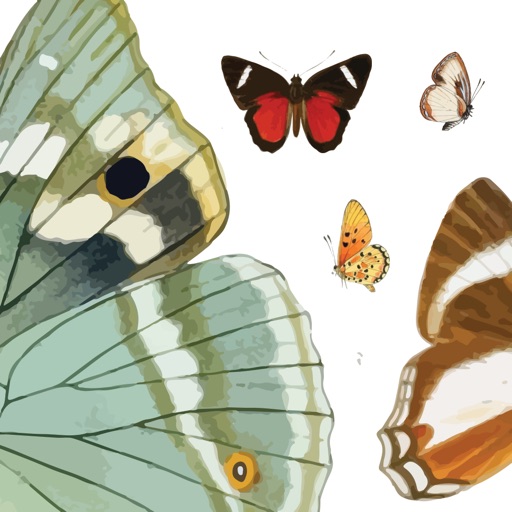 Butterflies Volume 1