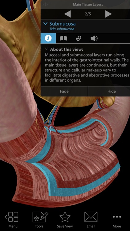 Physiology & Pathology screenshot-5