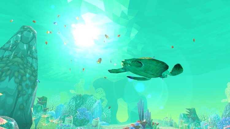 PI VR Coral Reefs