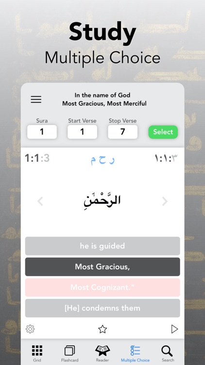 Quran Study – Word by Word screenshot-5