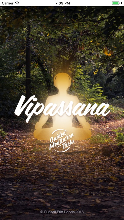 Vipassana Insight