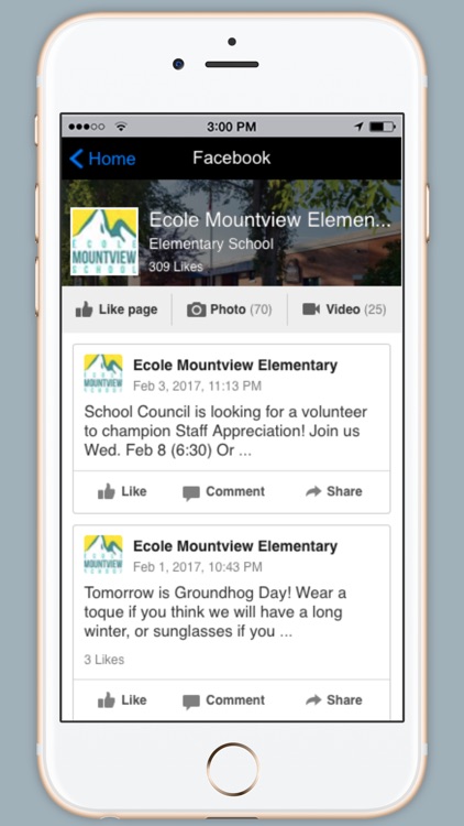 Ecole Mountview Elementary screenshot-4