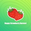Happy Strawberry Harvest