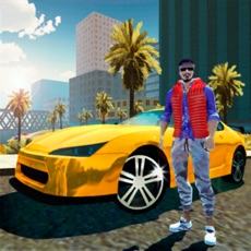 Activities of Miami Crime Simulator