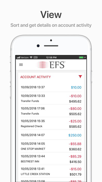 EFS PayControl screenshot 2