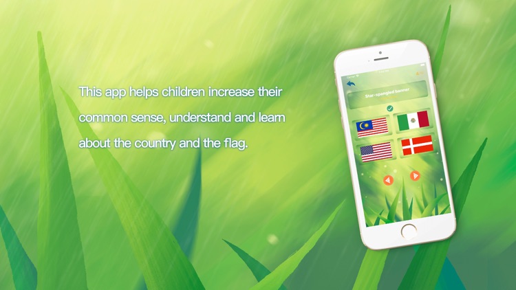 National Flag Encyclopedia screenshot-3