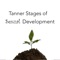 The human sexual maturation could be described as a sequence of physical morphological changes related to primary and secondary sex characteristics