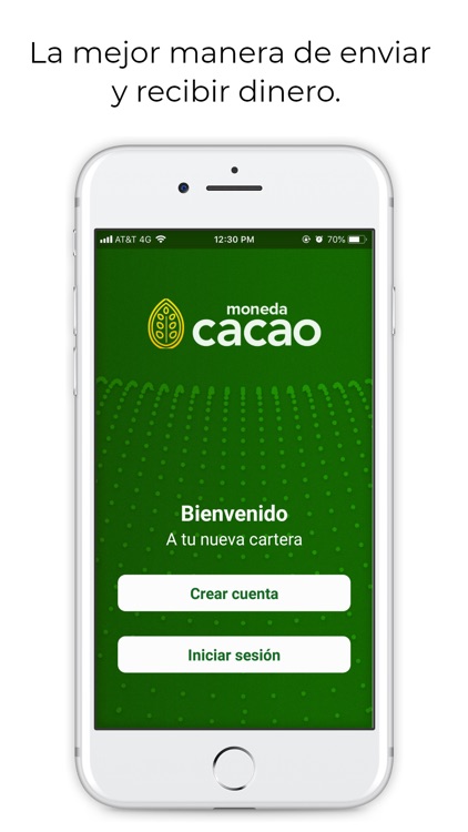 Cacao