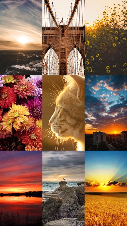 Beautiful HD Wallpapers 50000+ screenshot-6