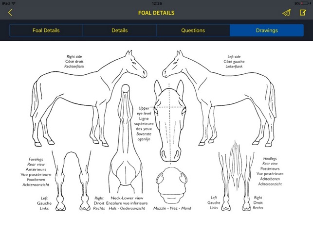 Zangersheide Horse ID equicty(圖2)-速報App