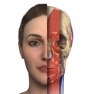 Get Interactive Anatomy - PH for iOS, iPhone, iPad Aso Report