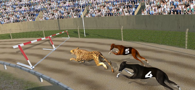 Crazy Dog Racing(圖4)-速報App