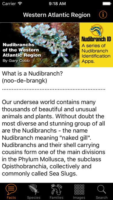 How to cancel & delete Nudibranch ID Western Atlantic from iphone & ipad 2