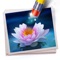 * Delete unwanted objects or areas from photos