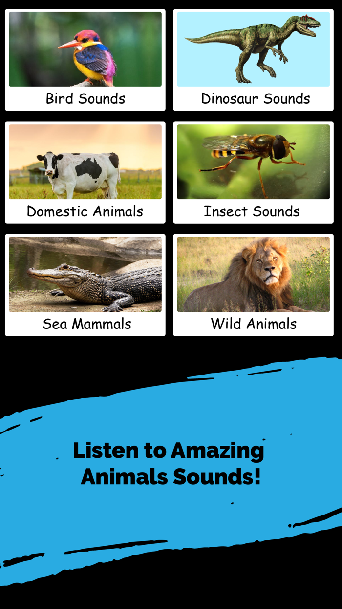 Animal  Nature Sounds
