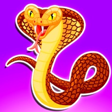 Activities of Snake Master - The Classic Retro Phone Game