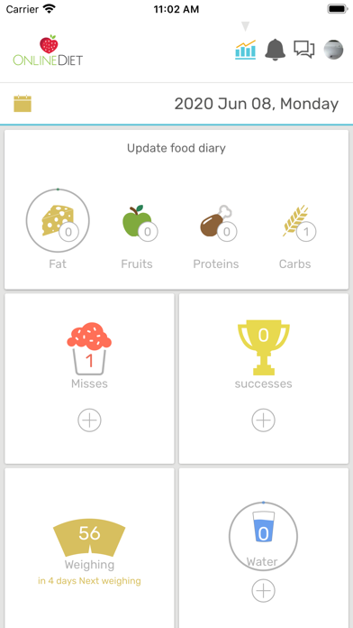 Online Diet screenshot 2