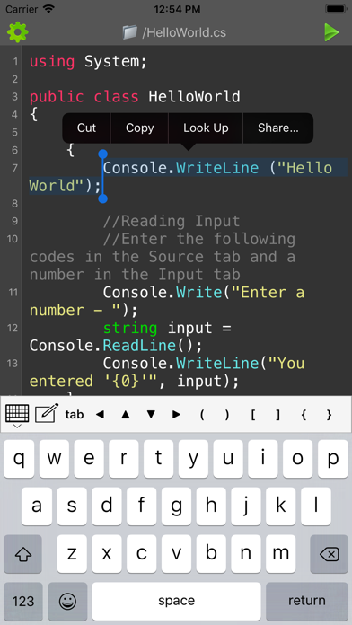 C# Programming Compiler screenshot 3