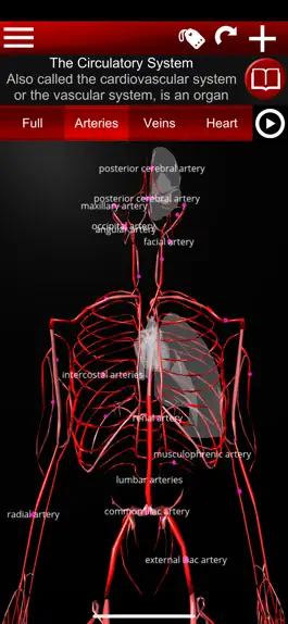 Game screenshot Circulatory System 3D Anatomy mod apk