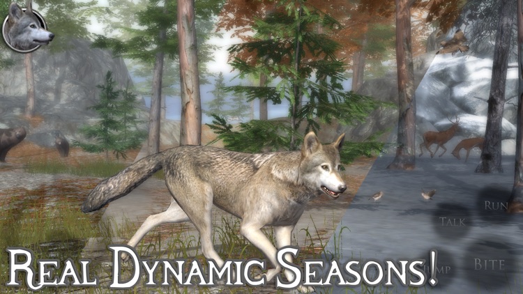 Ultimate Wolf Simulator 2 screenshot-3