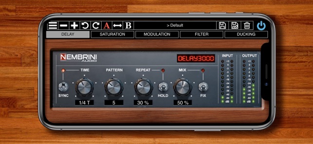 Delay3000 Vintage Modern