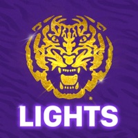 Kontakt Tiger Lights