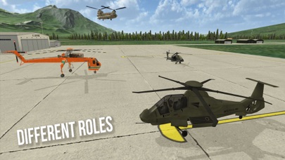 Flight Sims Air Cavalry Pilots