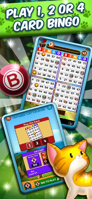 My Bingo Life(圖2)-速報App