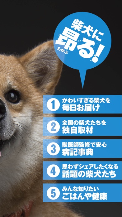 柴犬ライフ：100％柴犬情報メディア screenshot 2