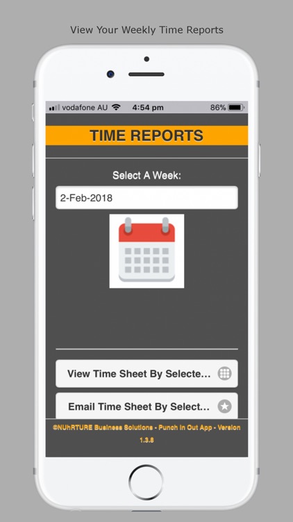 Punch In Out Timesheets