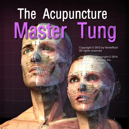 The Acupuncture Master Tung Cheats
