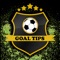 Goal Tips is the app to make money betting on Premier League and all the others european football leagues