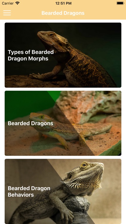 Reptiles & Amphibians