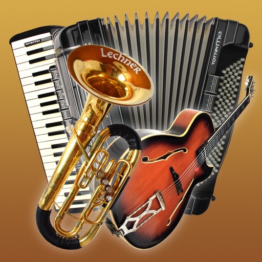 Turbosounds for Accordion Icon