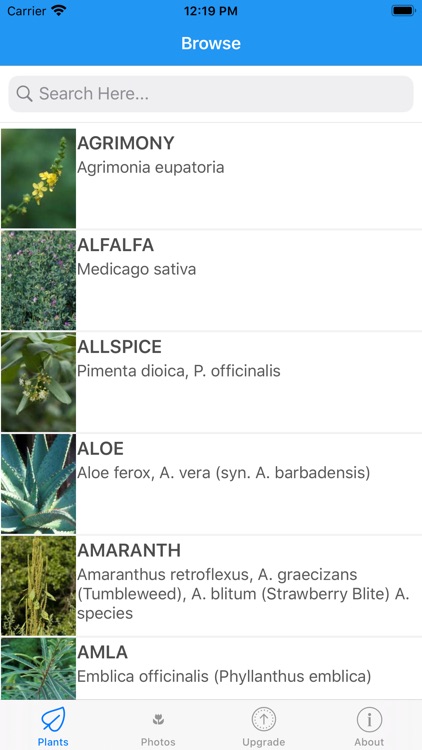 iPlant with Brigitte Mars
