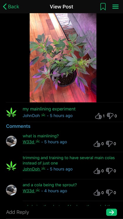 Stoned app