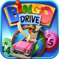 Bingo Drive: Play & Win Online apk