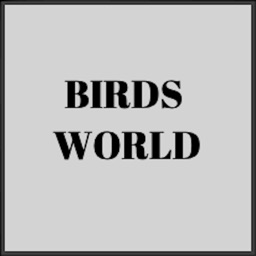 Birds World