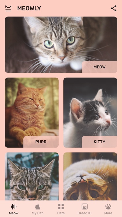 Cat App - Meowly Cats