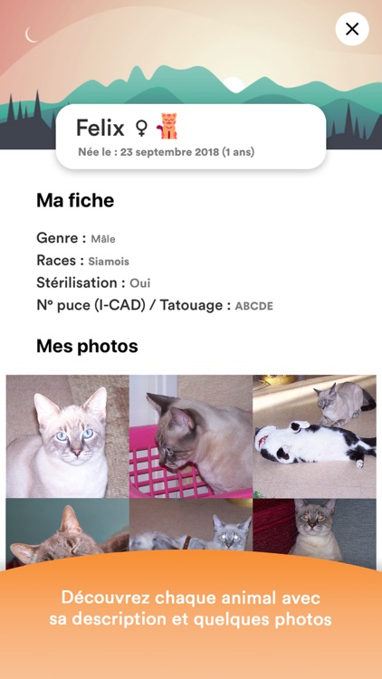 Animaux à adopter